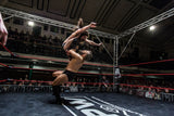 Trevor Lee vs Trent Seven , High Stakes 2017
