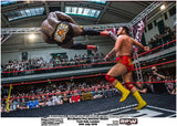 Moose vs Sha Samuels - Summer Sizzler 2016