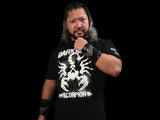 Evil 'Darkness Scorpion' T-shirt