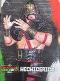 Signed Hechicero A4 Print 2024