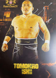 Signed Tomohiro Ishii A4 Print (Royal Quest)