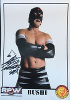 Signed Bushi No Suit A4 Print